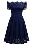 Lace Short Sleeve Boat Neck Swing Dress - Aisize - New Vintage Simplified Design