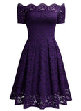 Lace Short Sleeve Boat Neck Swing Dress - Aisize - New Vintage Simplified Design